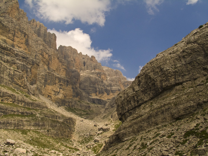 Looking Up Val Brenta Alta